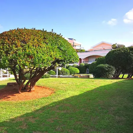 Apartman Nulauro 31 *