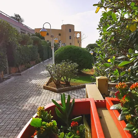 Apartman Nulauro 31 *